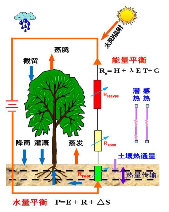 蒸散量测定方法及原理！