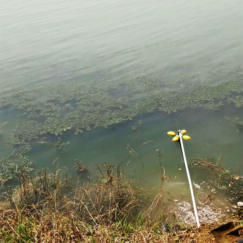 泰安市湿地公园水质监测系统落成！