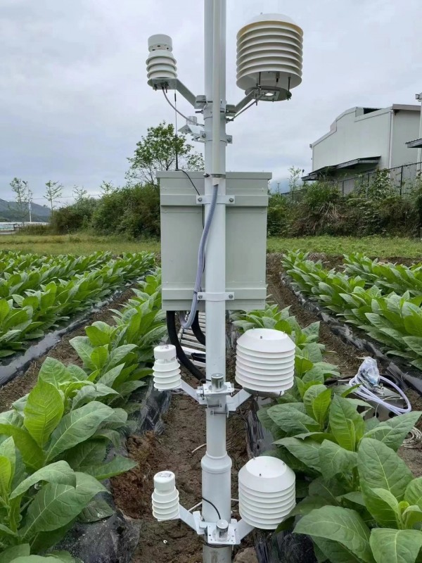 云南烟草种植基地墒情气象监测系统安装落成！